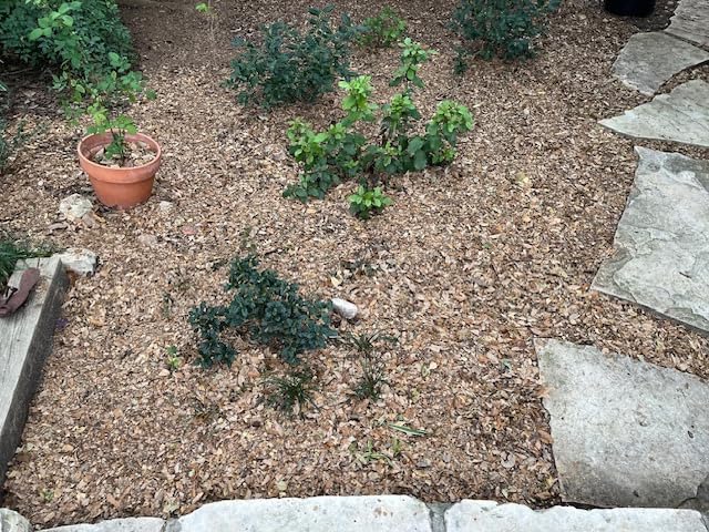 BLACK+DECKER Leaf Blower, Leaf Vacuum and Mulcher 3 in 1, Backpack Blowers for Lawn Care,250 mph Airflow, 400 cfm Delivery Power, Reusable Bag Included, Corded (BEBL7000) customer photo 1