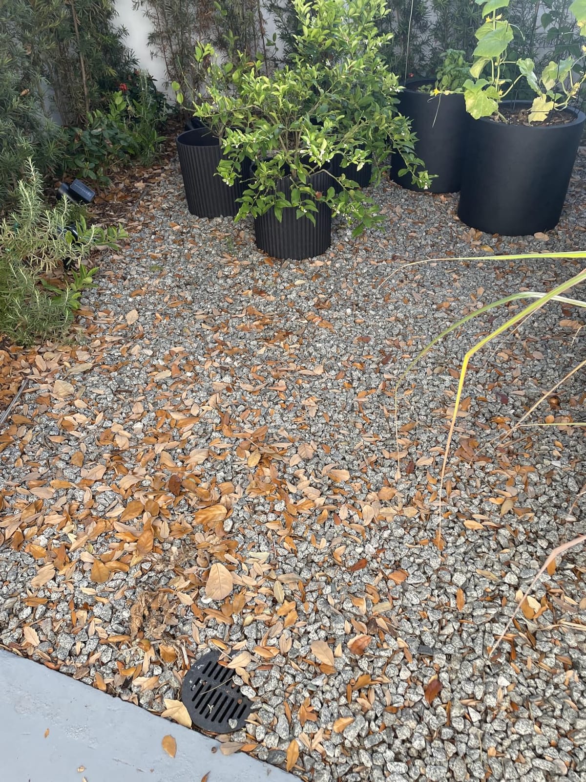 BLACK+DECKER Leaf Blower, Leaf Vacuum and Mulcher 3 in 1, Backpack Blowers for Lawn Care,250 mph Airflow, 400 cfm Delivery Power, Reusable Bag Included, Corded (BEBL7000) customer photo 2