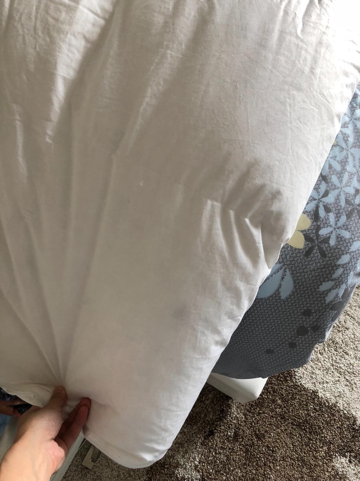 Globon Winter Down Comforter King Size,Heavyweight Duvet Insert,White customer photo 2