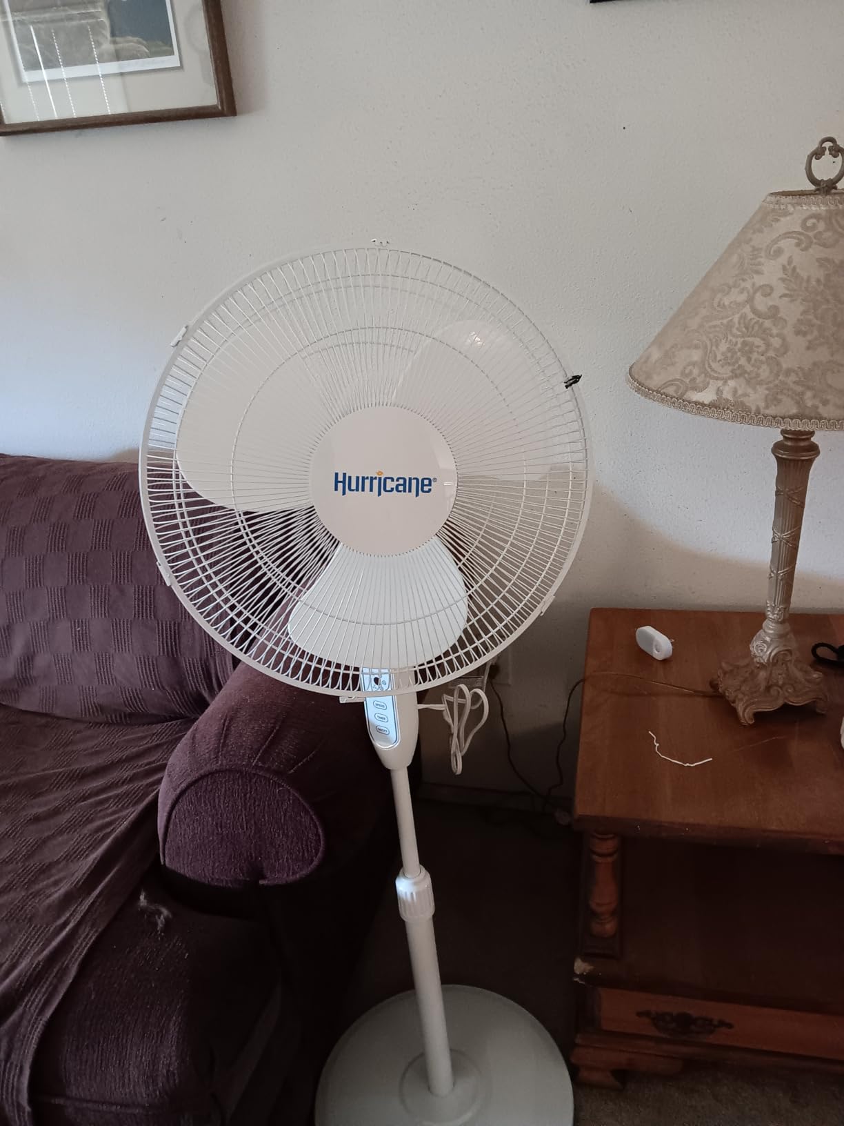 Hurricane Supreme Oscillating Pedestal Fan w/ Remote for Home, White, 16 in customer photo 2