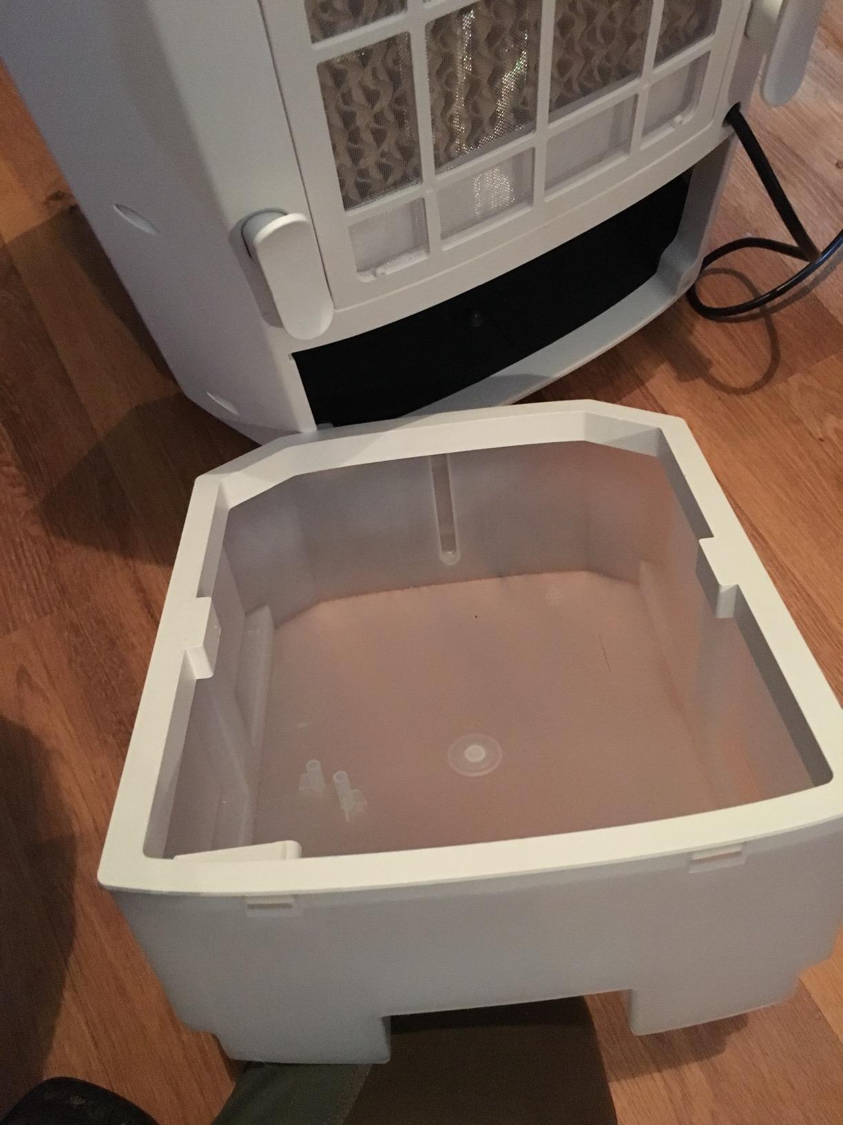 De'Longhi America America Portable Evaporative Cooler, White customer photo 2