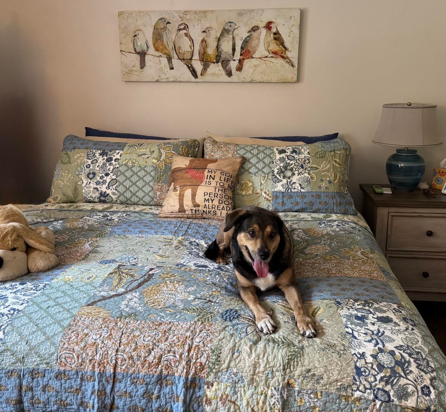 NEWLAKE Quilt Set Queen Size, 100% Cotton Patchwork Green Bohemian Quilt Sets, Reversible Bedspread Lightweight and Breathable for All Seasons, Soft Quilted Bedspread with 2 Pillow Shams customer photo 1