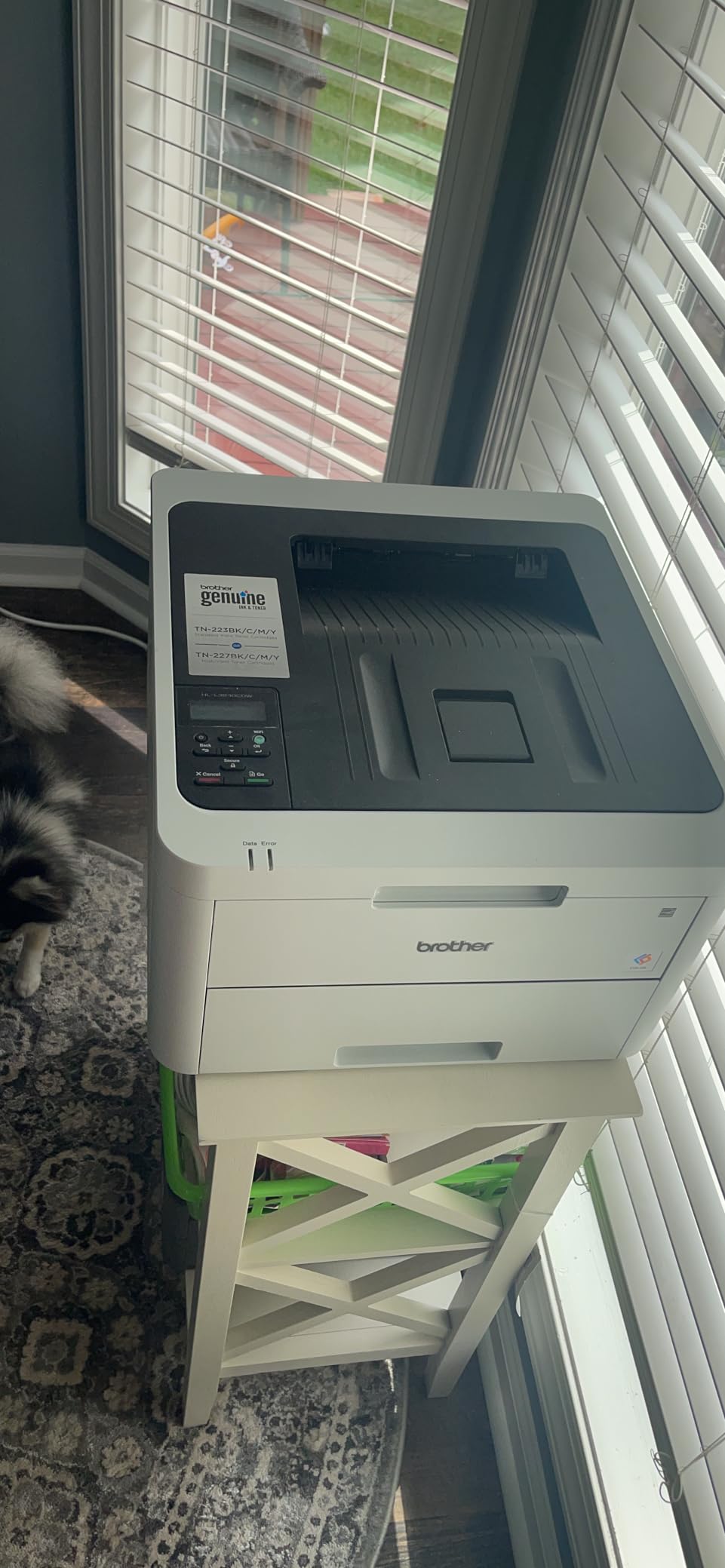 Brother HL-L3230CDW Compact Digital Color Printer Providing Laser Printer Quality Results with Wireless Printing and Duplex Printing, Amazon Dash Replenishment Ready, White customer photo 2