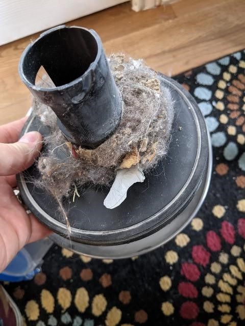 Eureka Whirlwind Bagless Canister Cleaner NEN110A Lightweight Corded Vacuum for Carpets and Hard Floors, Blue customer photo 1