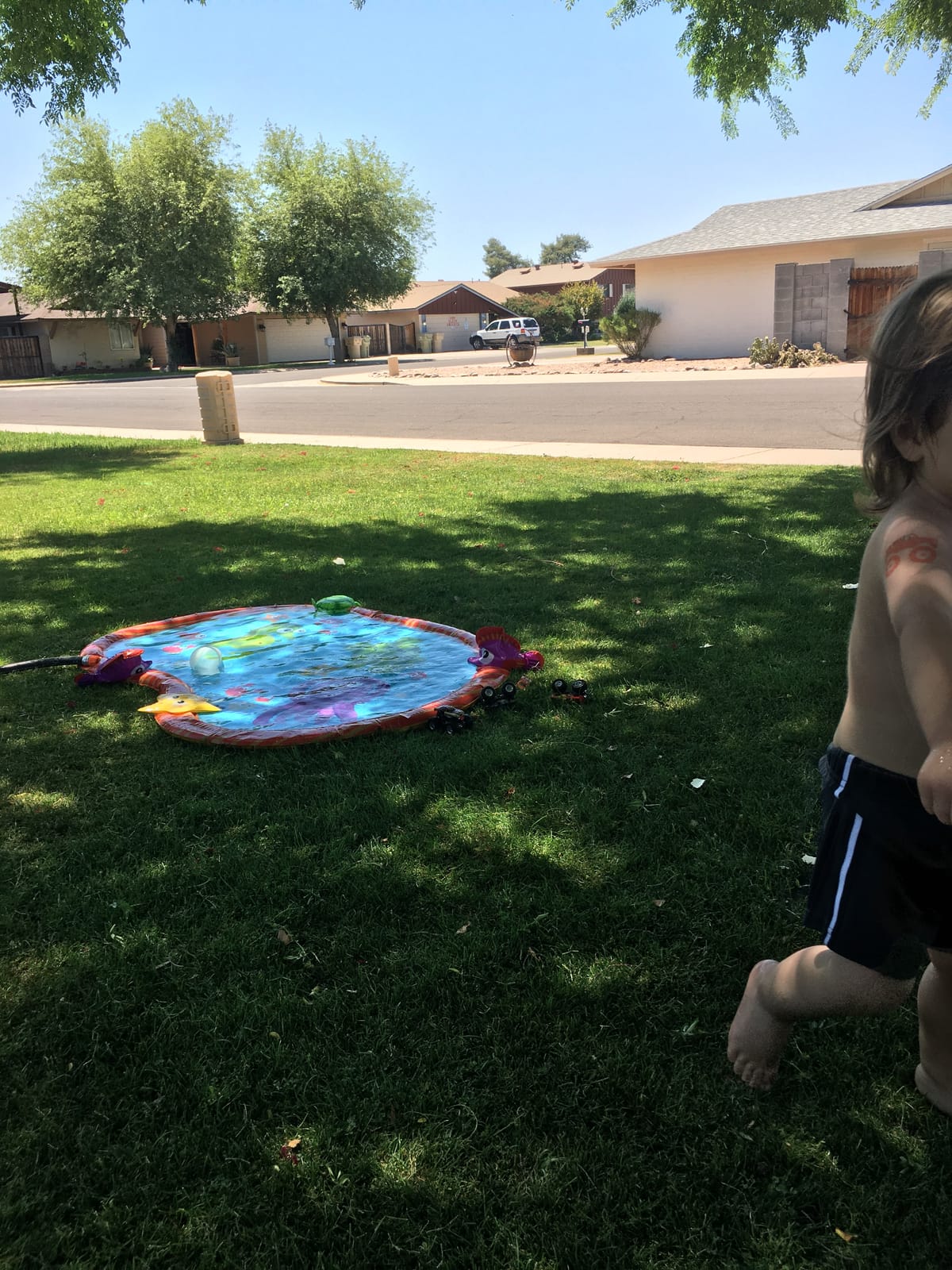 BANZAI Splash Pad Toddler Water Play Mat, 58 in Outdoor Kids Sprinkler Mat with 3D Sea Characters, Baby Splash Pad for Backyard Summer Fun customer photo 1
