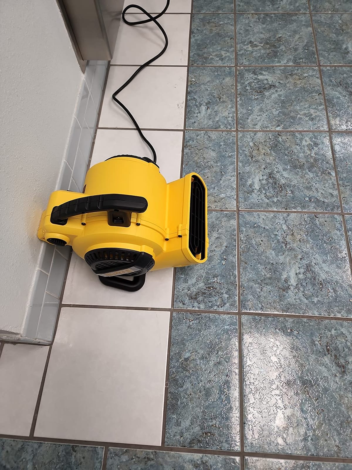 DEWALT Portable Air Mover, 276W 3 Speed Floor Fan, Utility Blower Fan customer photo 1