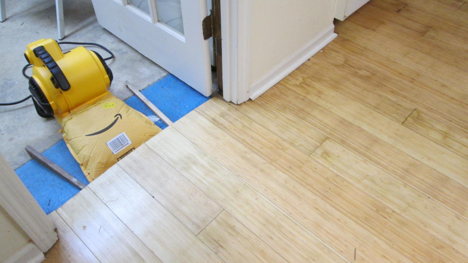 DEWALT Portable Air Mover, 276W 3 Speed Floor Fan, Utility Blower Fan customer photo 2