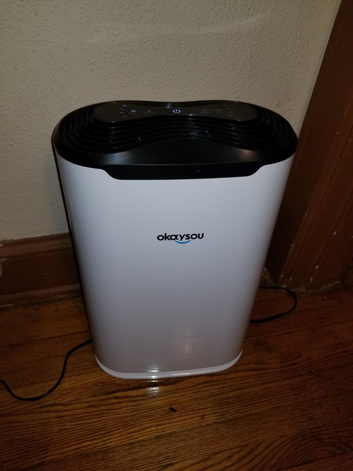 Okaysou AirMax8L 19.4” 5-in-1 Large Room Air Purifier for Home, True HEPA Filter, Air Cleaner for Smokers, Pets, Eliminates Dust, Mold, Odor, VOCs, with Double Filtration System customer photo 2