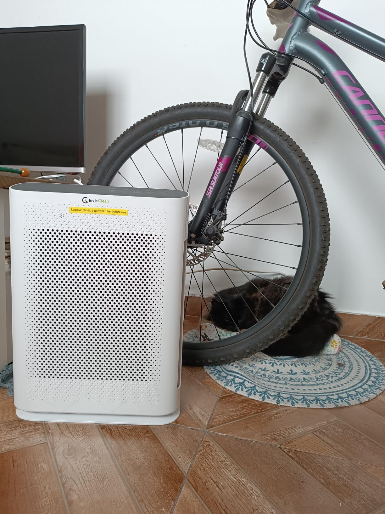 Air Purifier for Home Allergies & Pets | 4-in-1 H13 True HEPA Filter/Ionizer/Carbon + UV Light | Portable Air Purifiers for Large Room & Bedroom Odor Elimination - InvisiClean Aura II customer photo 1