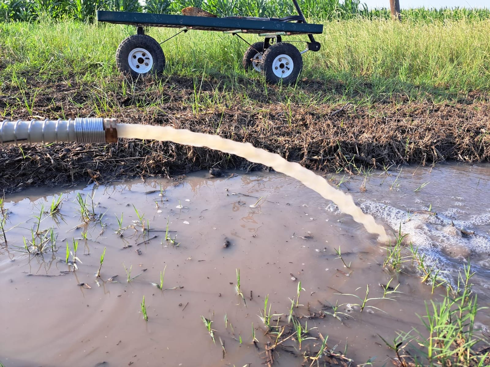 BACOENG 12V DC Farm & Ranch Solar Water Pump Submersible Well Pump 20FT Lift customer photo 2