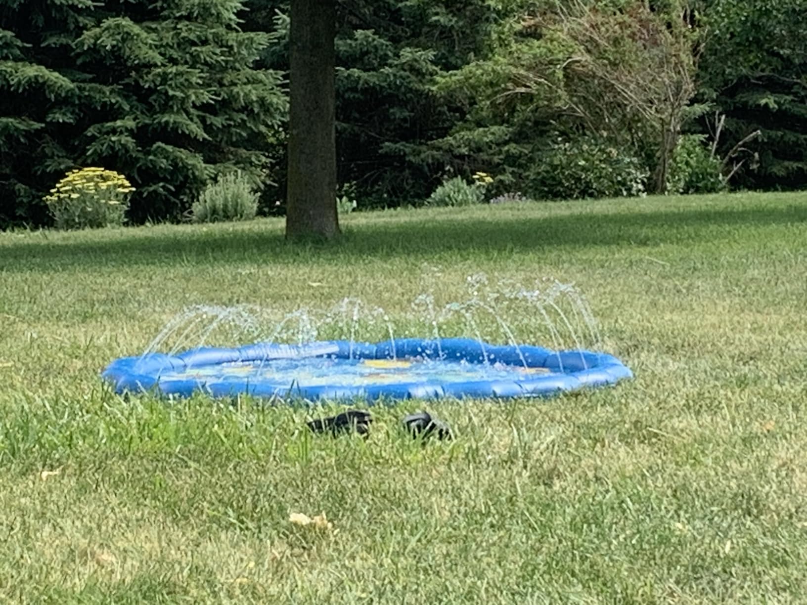 SplashEZ 3-in-1 Splash Pad, Sprinkler for Kids & Baby Pool for Learning customer photo 2