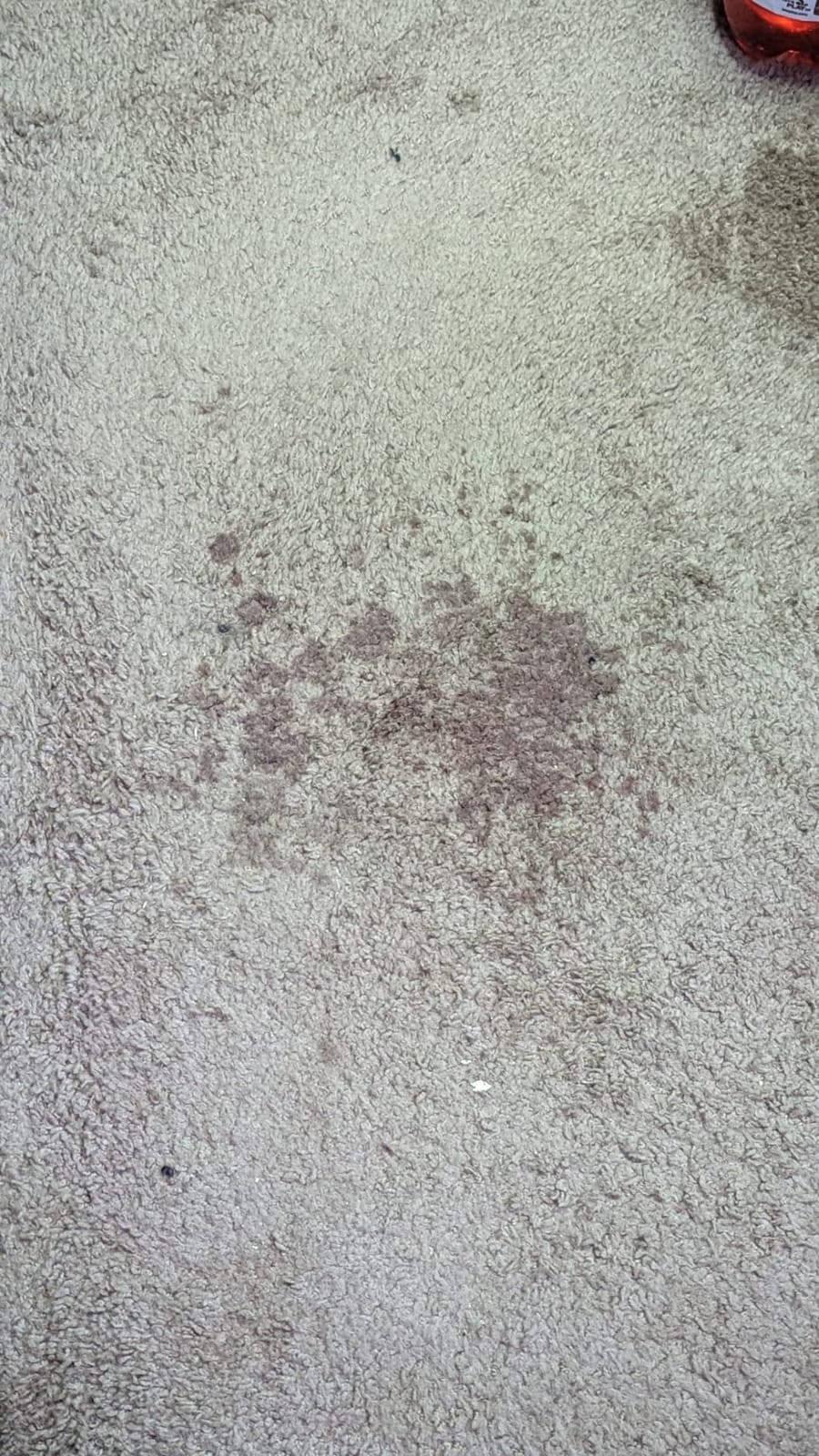 Bissell ProHeat 2X Revolution Pet Full Size Upright Carpet Cleaner, 1548F, Orange customer photo 1