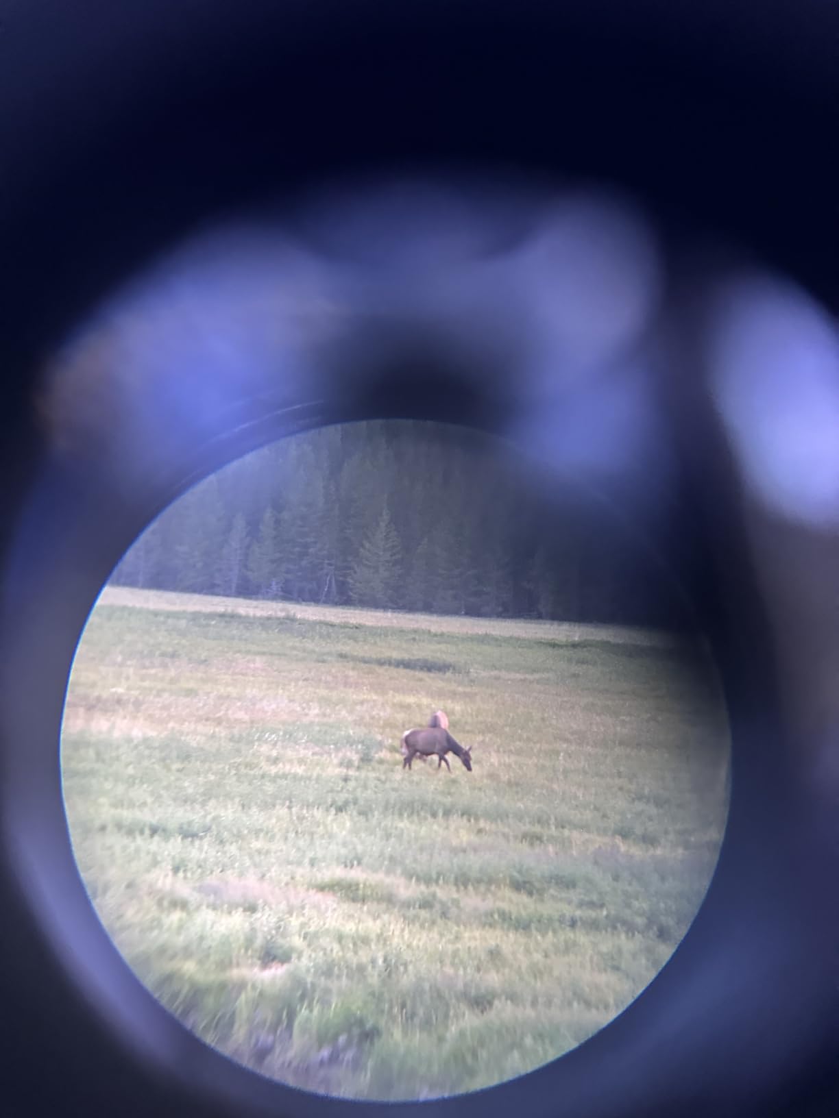 Hontry 10x25 Compact Binoculars for Adults and Kids customer photo 2