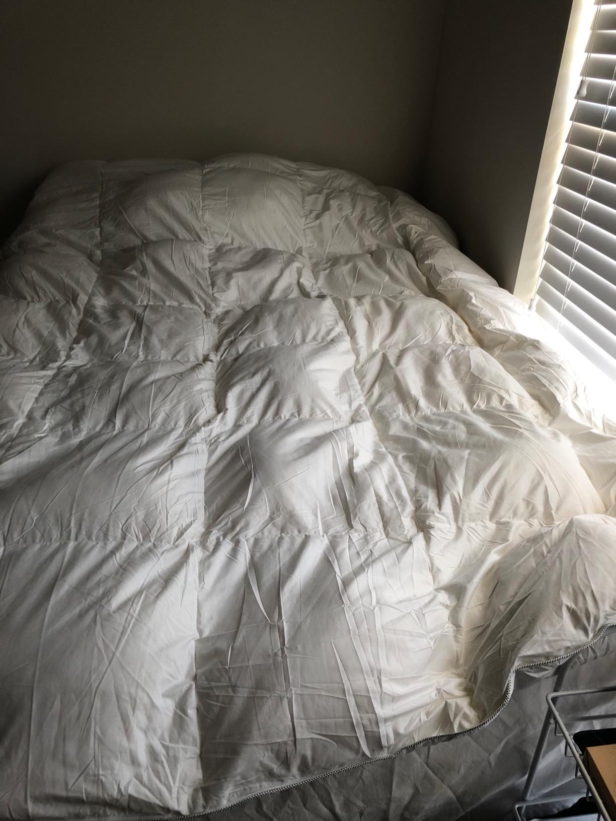 APSMILE Heavyweight Down Feather Fibers Comforter Queen Size - Ultra-Soft Luxury High Fill-Power Hotel-Style Thicker Winter Duvet Insert for Colder Weather/Sleeper (90x90, White) customer photo 1