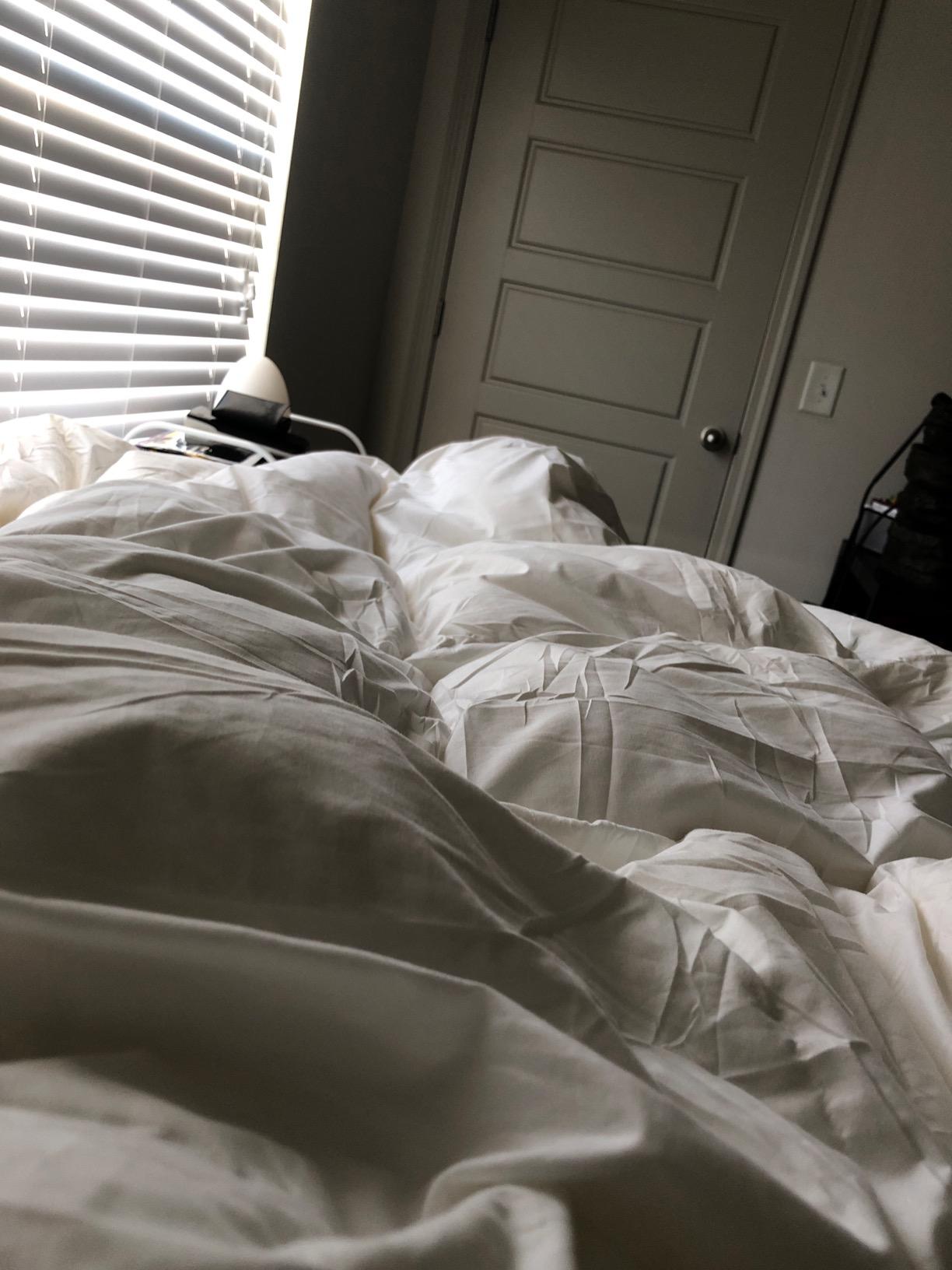 APSMILE Heavyweight Down Feather Fibers Comforter Queen Size - Ultra-Soft Luxury High Fill-Power Hotel-Style Thicker Winter Duvet Insert for Colder Weather/Sleeper (90x90, White) customer photo 2