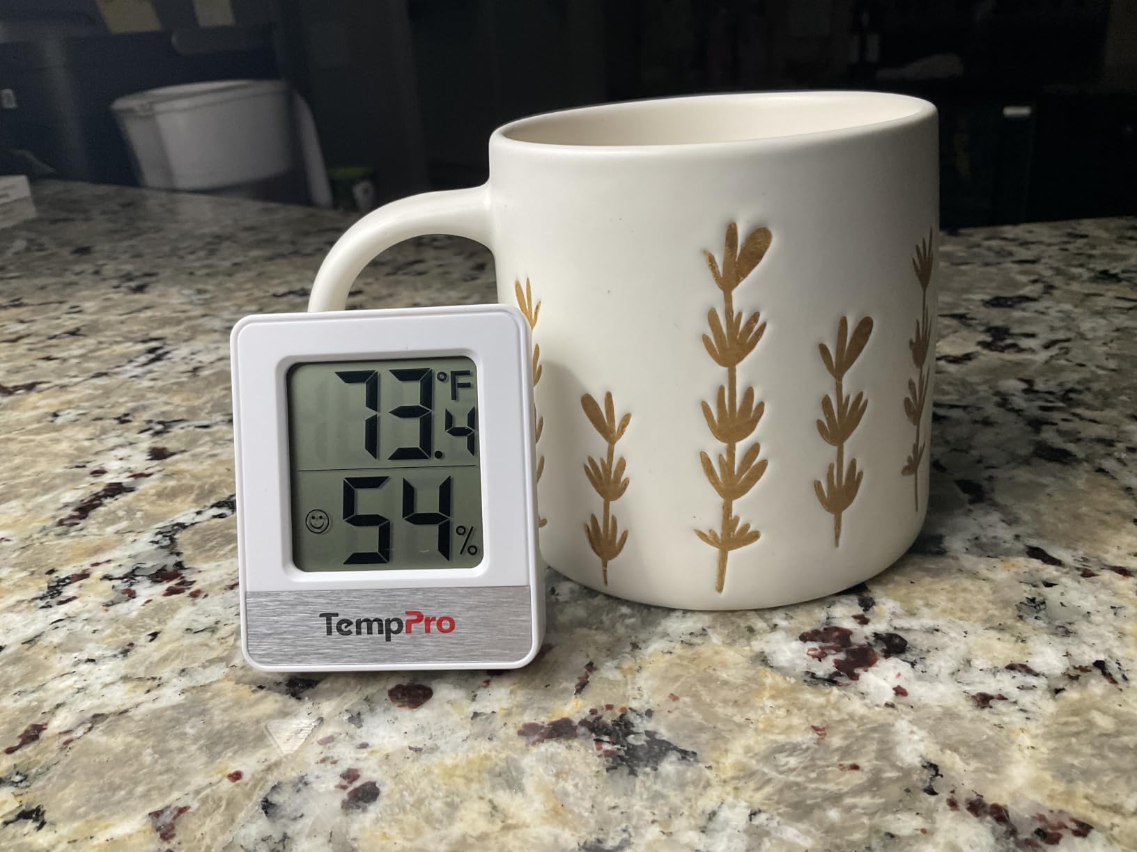 TempPro TempAir Digital Hygrometer Indoor Thermometer customer photo 1