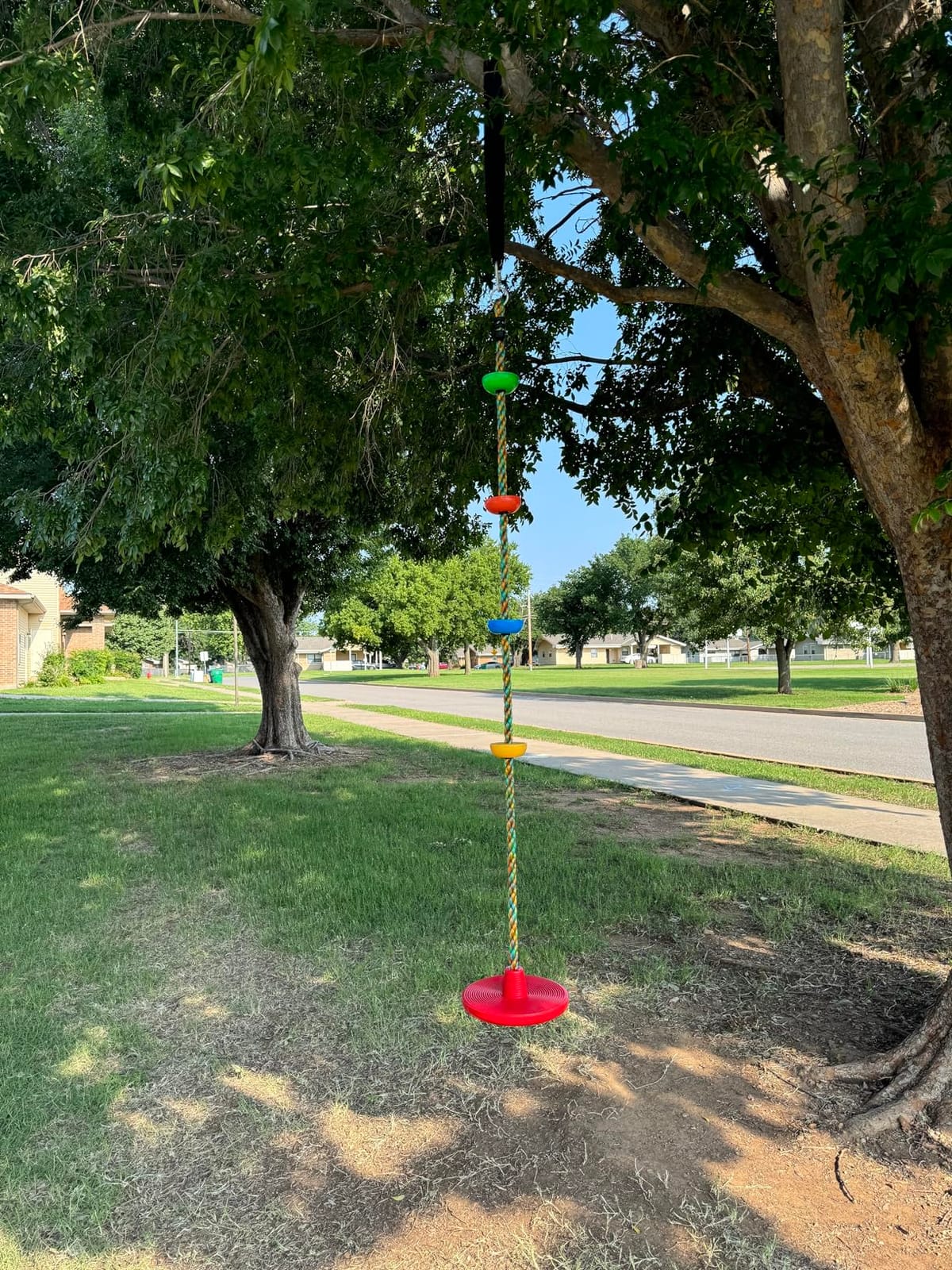 Jungle Gym Kingdom Tree Swing for Kids - Single Disc Seat and Rainbow Climbing Rope Set w/Carabiner and 4 Foot Strap - Treehouse and Outdoor Playground Accessories - Red customer photo 2