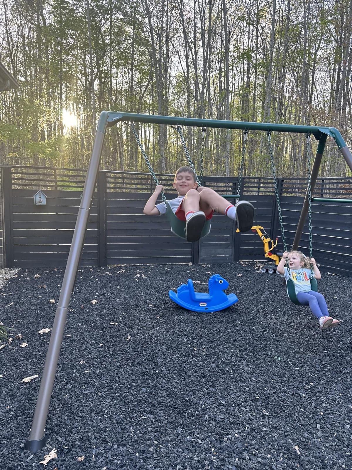 Lifetime Metal Swing Set - Heavy Duty Outdoor Playset for Kids customer photo 2