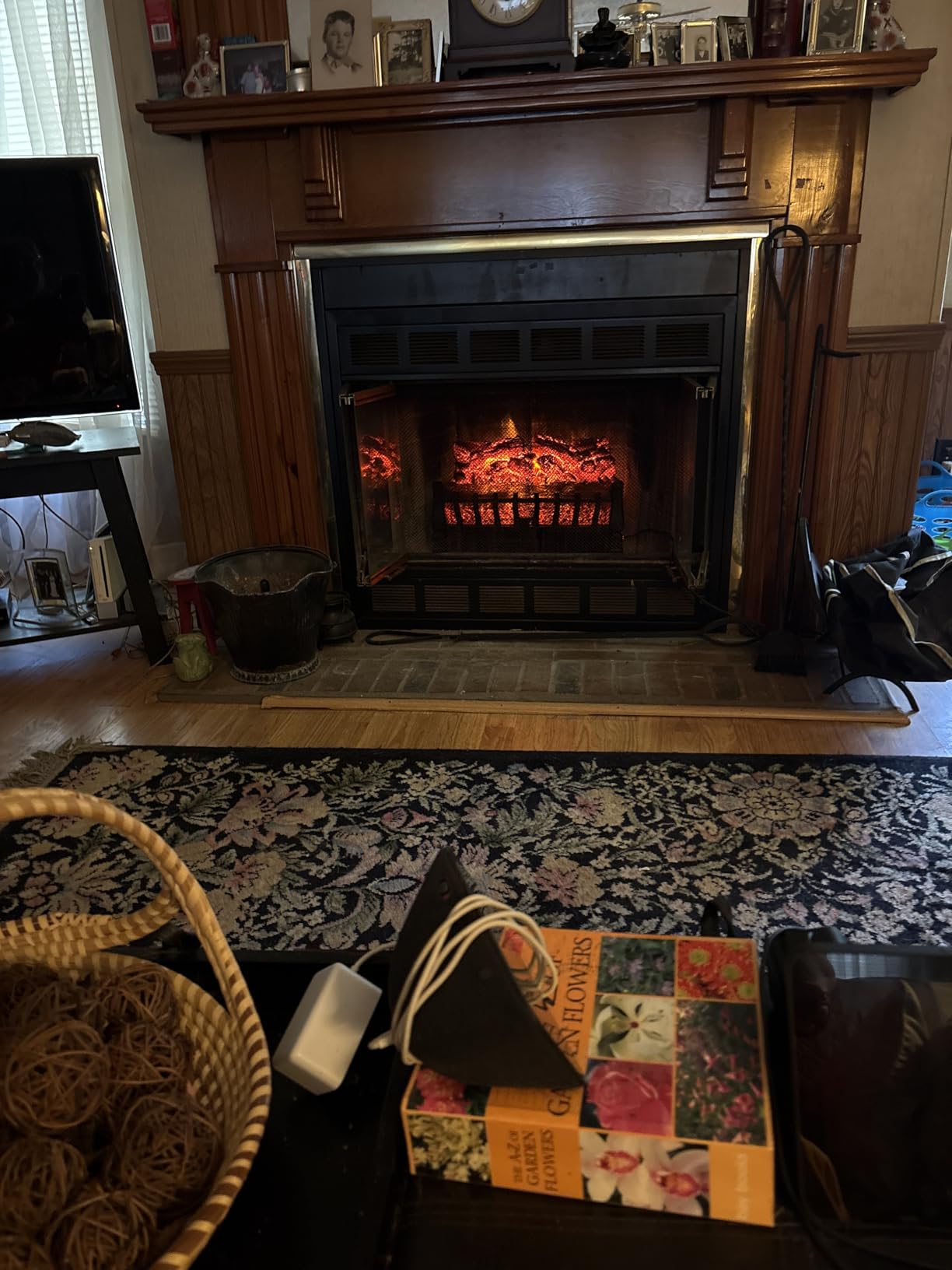 LifePlus Electric Fireplace Logs Heater, Fireplace Insert Heater with Remote Control, Realistic Flame Effect, Infrared Fireplace for for Indoor Use 8H Timer, Adjustable Brightness, Double Protection customer photo 1