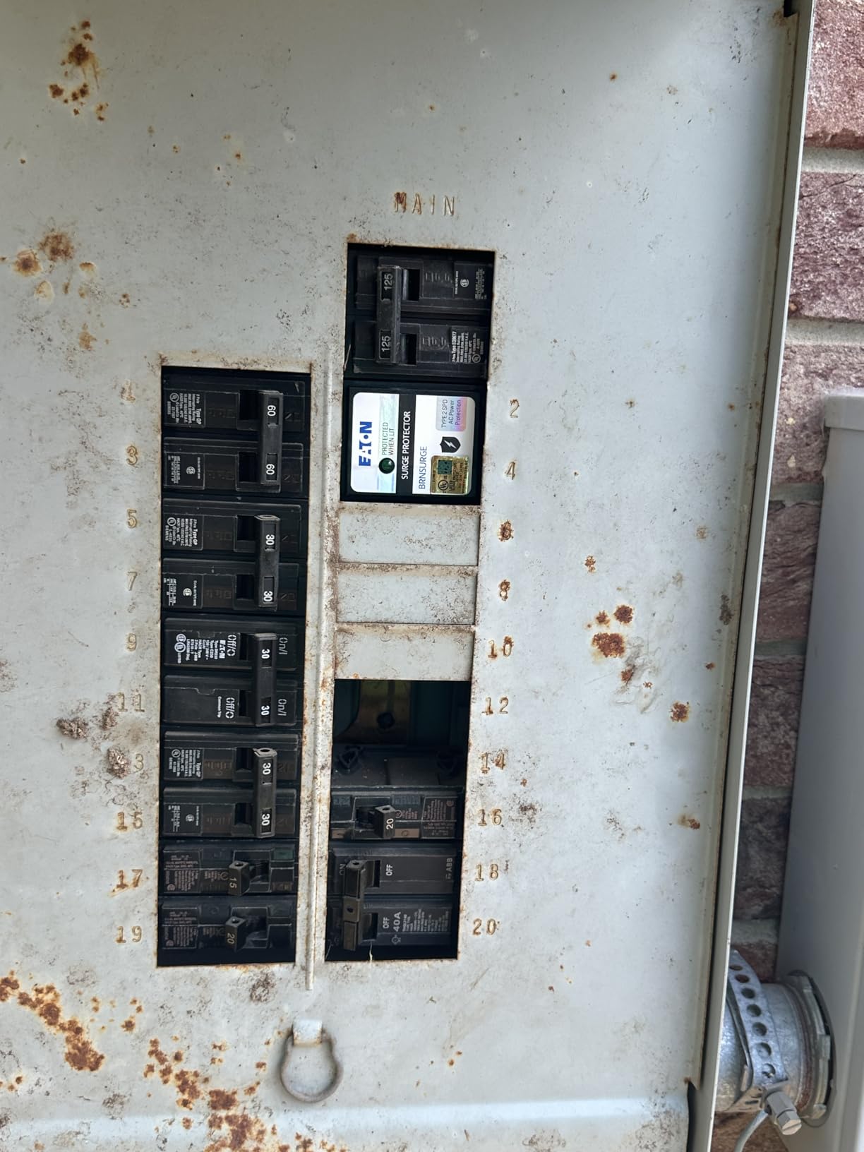 Type BR Circuit Breaker Surge Protective Device, Two Pole, Surge Protective Device customer photo 1