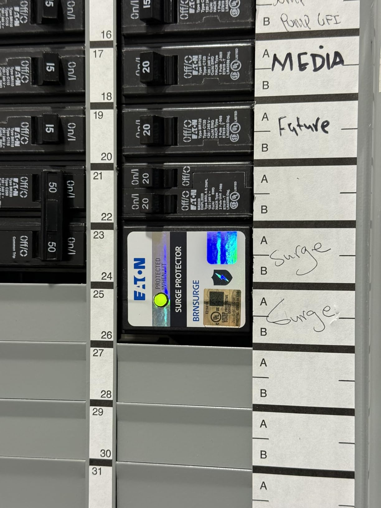 Type BR Circuit Breaker Surge Protective Device, Two Pole, Surge Protective Device customer photo 2
