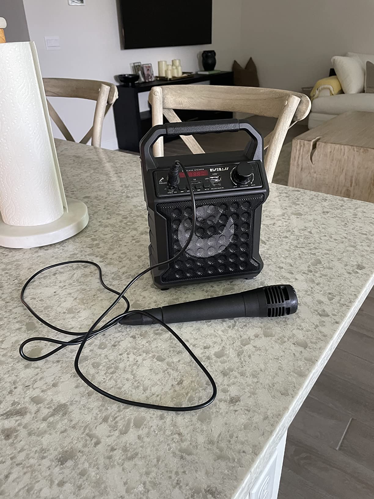 Risebass Portable Karaoke Machine with Microphone with Party Lights for Kids and Adults - Rechargeable USB Speaker Set with Bluetooth, FM Radio SD/TF Card, AUX-in, Birthday Gift for Boys and Girls customer photo 2