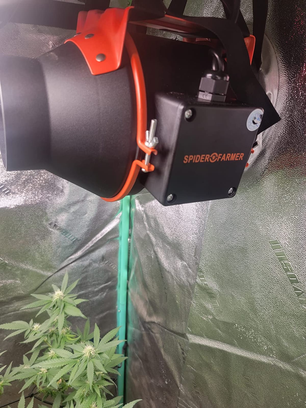 Spider Farmer 4 Inch Inline Duct Fan with Temp Humidity Controller, 205 CFM customer photo 2
