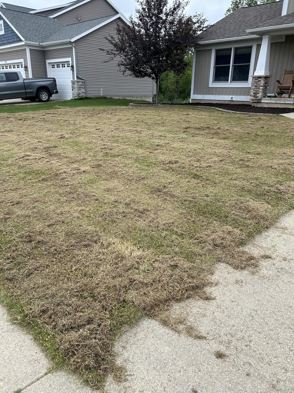 Sun Joe 15-Inch Lawn Dethatcher with Scarifier Blade Reel, AJ805E customer photo 1