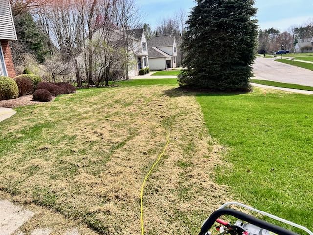 Sun Joe 15-Inch Lawn Dethatcher with Scarifier Blade Reel, AJ805E customer photo 2