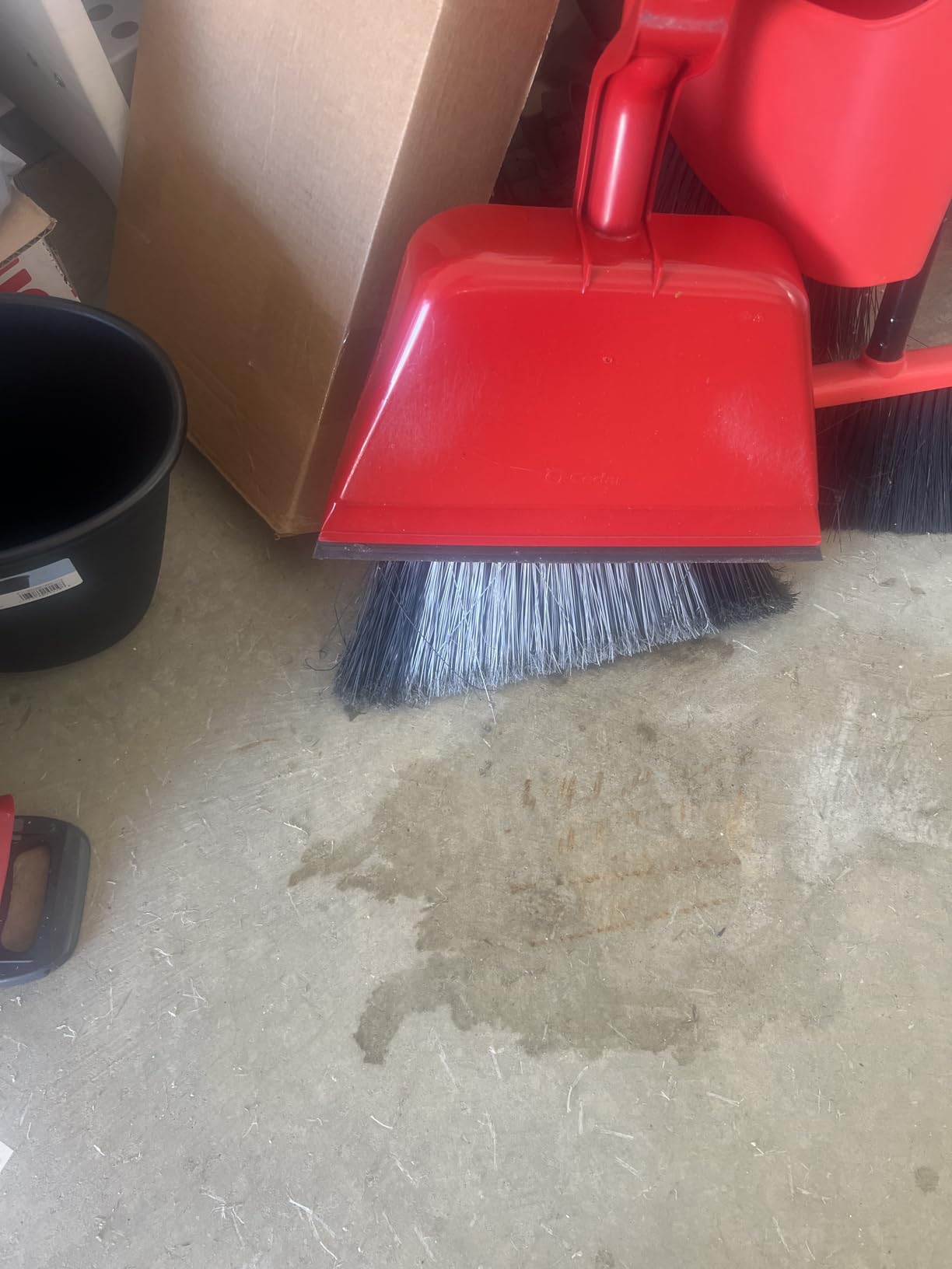 O-Cedar Pet Pro Broom with Step-On Dustpan | Removes Over 99% of Dust & Dirt in One Sweep | Removes 3X More Pet Hair | Quiet Cleaning Tool for Cat and Dog Owners customer photo 1