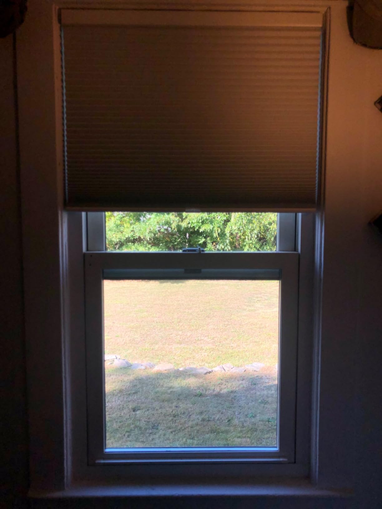 CHICOLOGY Cordless Cellular Shades, Room Darkening, Evening Mist, 58.25x48 customer photo 1