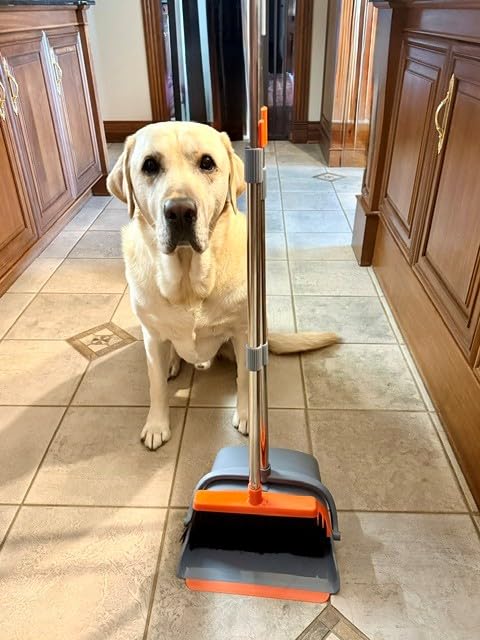 Upgrade Broom and Dustpan Set, Large Size and with Long Handle, Upright,Ideal for Indoor Outdoor Garage Kitchen Room Office Lobby Use (Green) customer photo 1