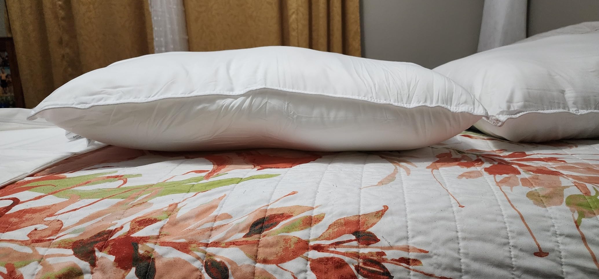 Amazon Basics Down Alternative Bed Pillows and Pillow Protector Case Set, Medium Density, Standard Size 26