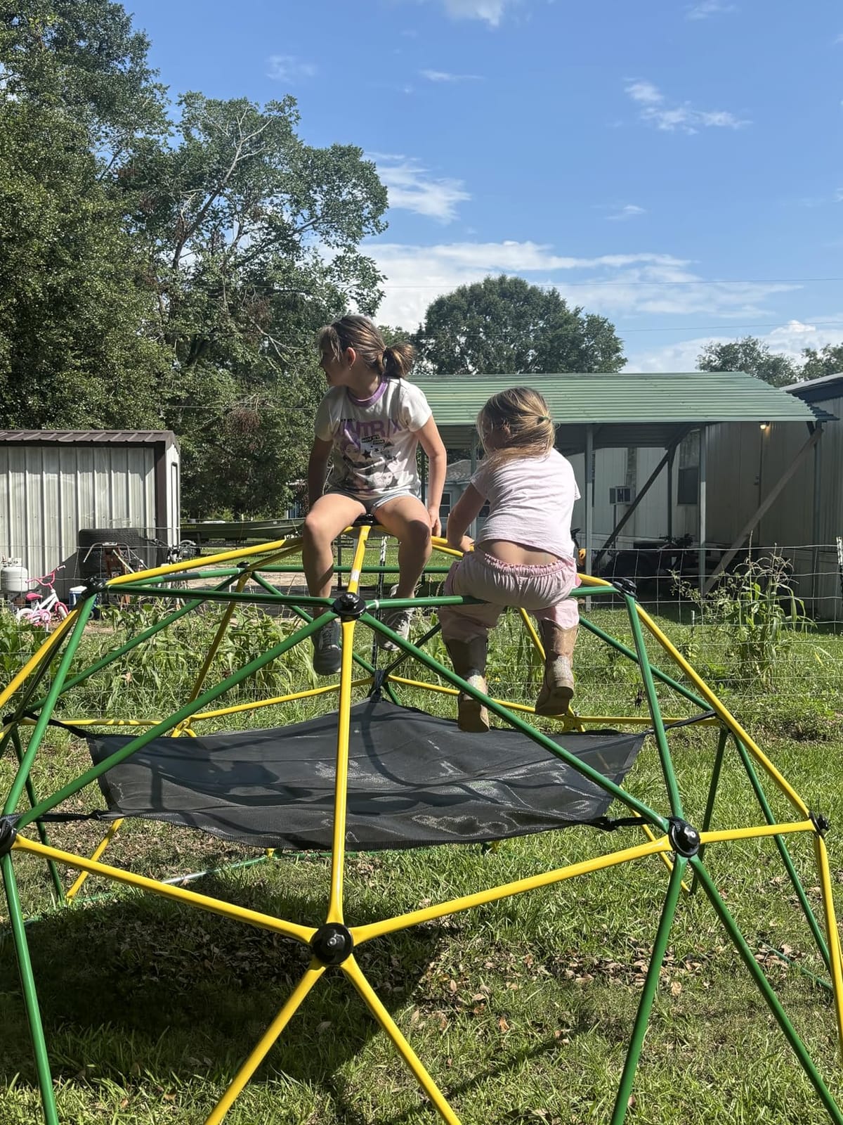 Climbing Dome Jungle Gym 6ft Outdoor Playset Kids Playground Equipment customer photo 2