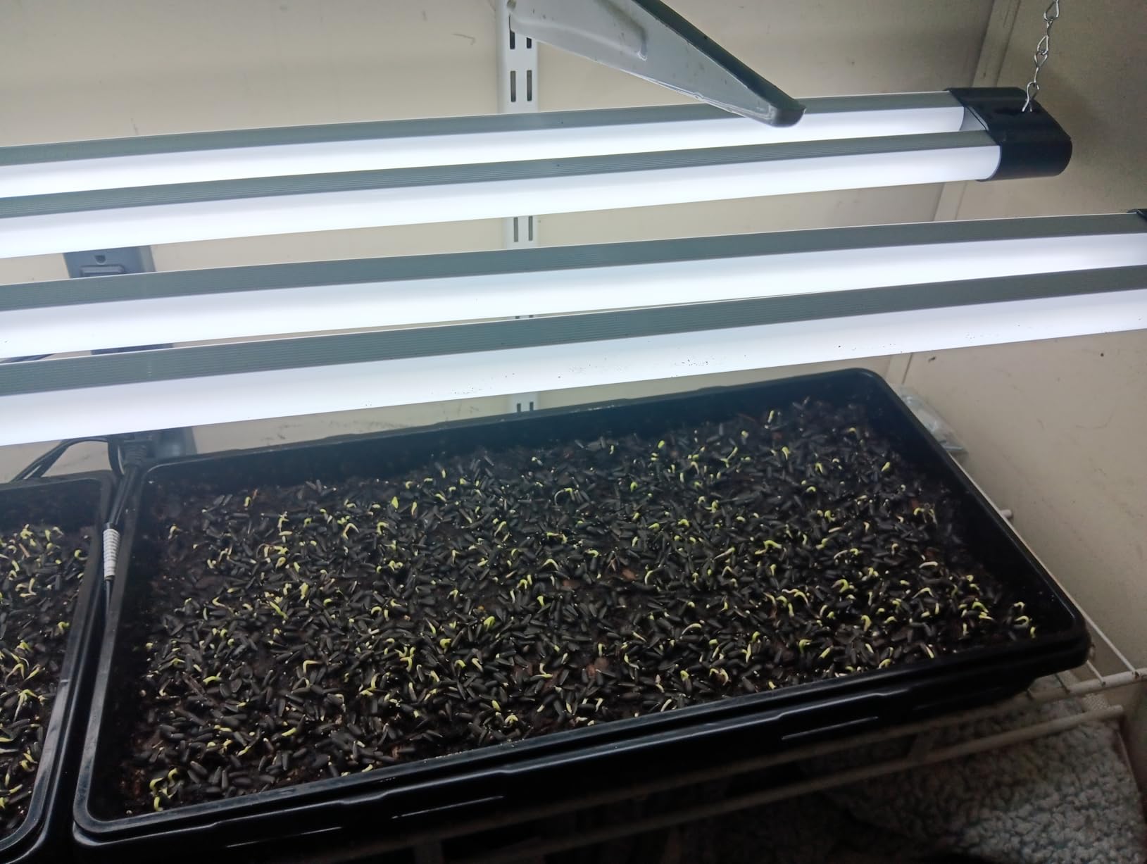 BBOUNDER 4Pack 4FT LED Shop Light, 65000K, 40W=250W, Linkable for Garage customer photo 1