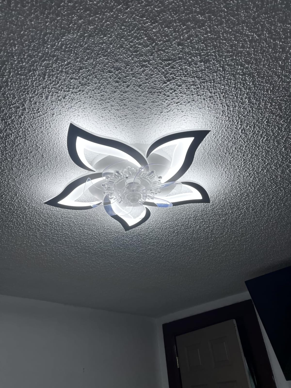 Bevenus Low Profile Ceiling Fan with Lights,110v Modern Dimmable Flower Shape, Remote Control/app Control,Timing 6 Gear Speeds Fan Ceiling Lamp. customer photo 2