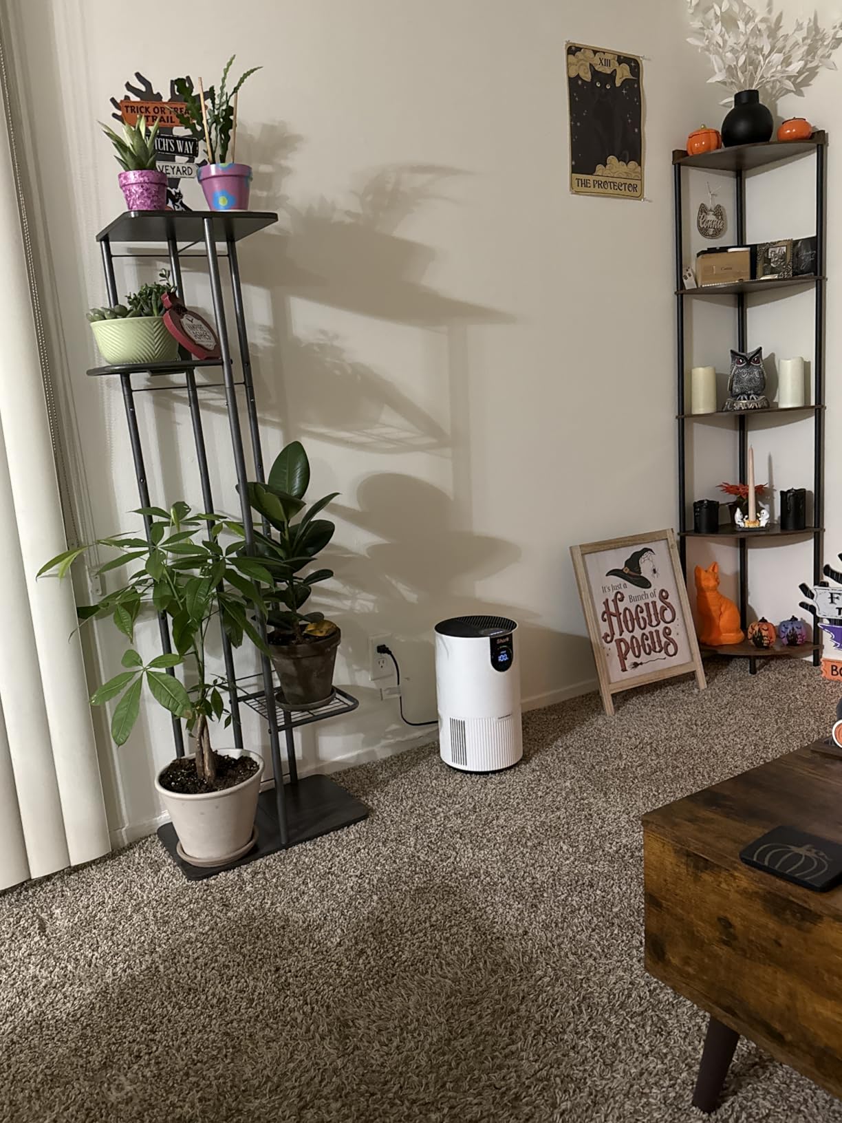 Shark Clean Sense Air Purifier with Pet Filter, HP102PET, White customer photo 2