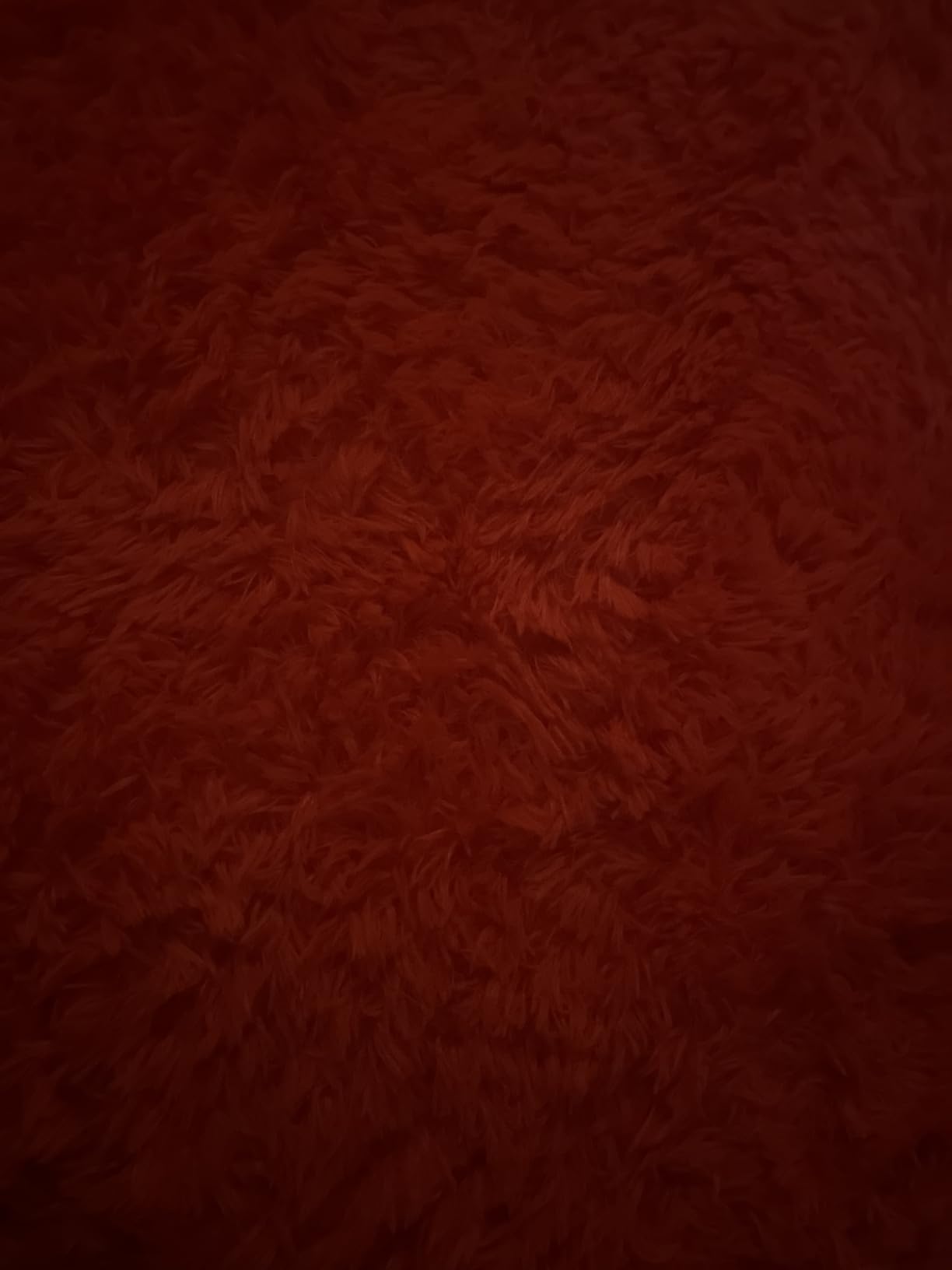 Merelax Soft Modern Indoor Shaggy Area Rug for Bedroom Livingroom Dorm Kids Room Home Decorative, Non-Slip Plush Fluffy Furry Fur Rugs Comfy Nursery Accent Floor Carpet 4x5.9 Feet, Deep Green customer photo 1