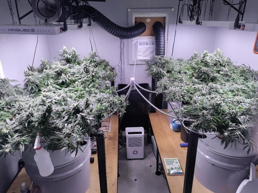 AC Infinity CLOUDFORGE T7, Plant Humidifier 15L with VPD Humidity Controls. customer photo 2