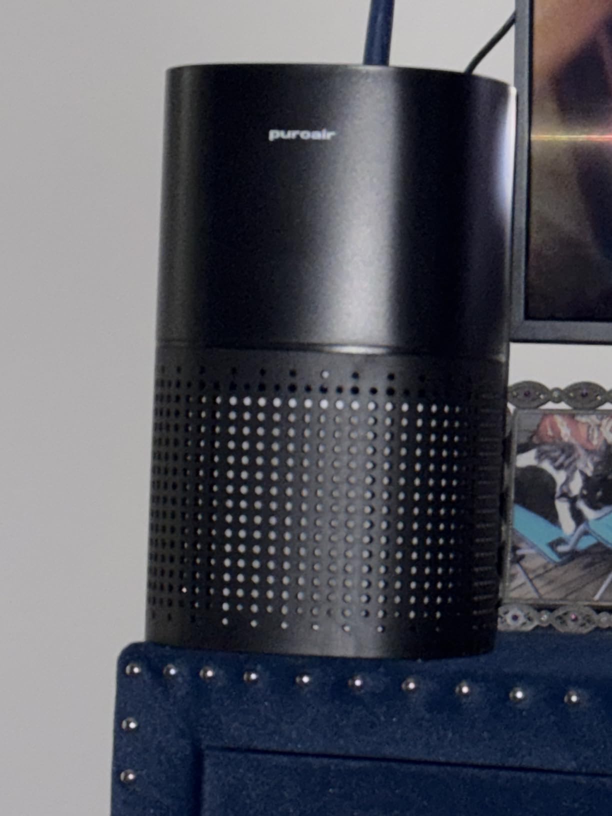 PuroAir 400 HEPA Air Purifiers for Home Large Room Pets Filter 2,000 Ft² customer photo 1