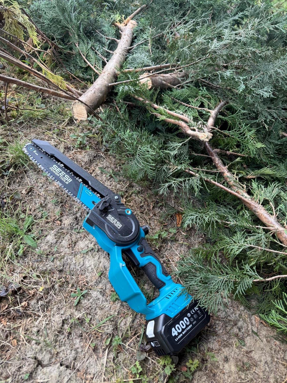 SEESII 2-in-1 Cordless 8 Inch Pole Saw & Mini Chainsaw, 2×4.0Ah Batteries customer photo 1
