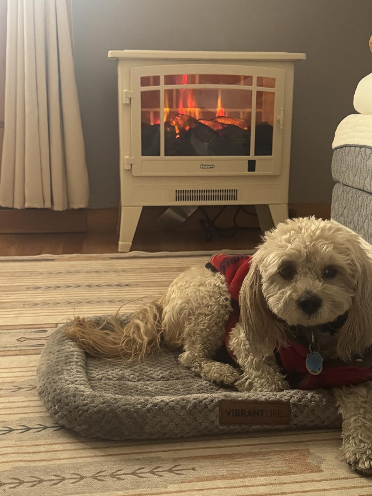 TURBRO Suburbs TS17Q Infrared Electric Fireplace Stove customer photo 2