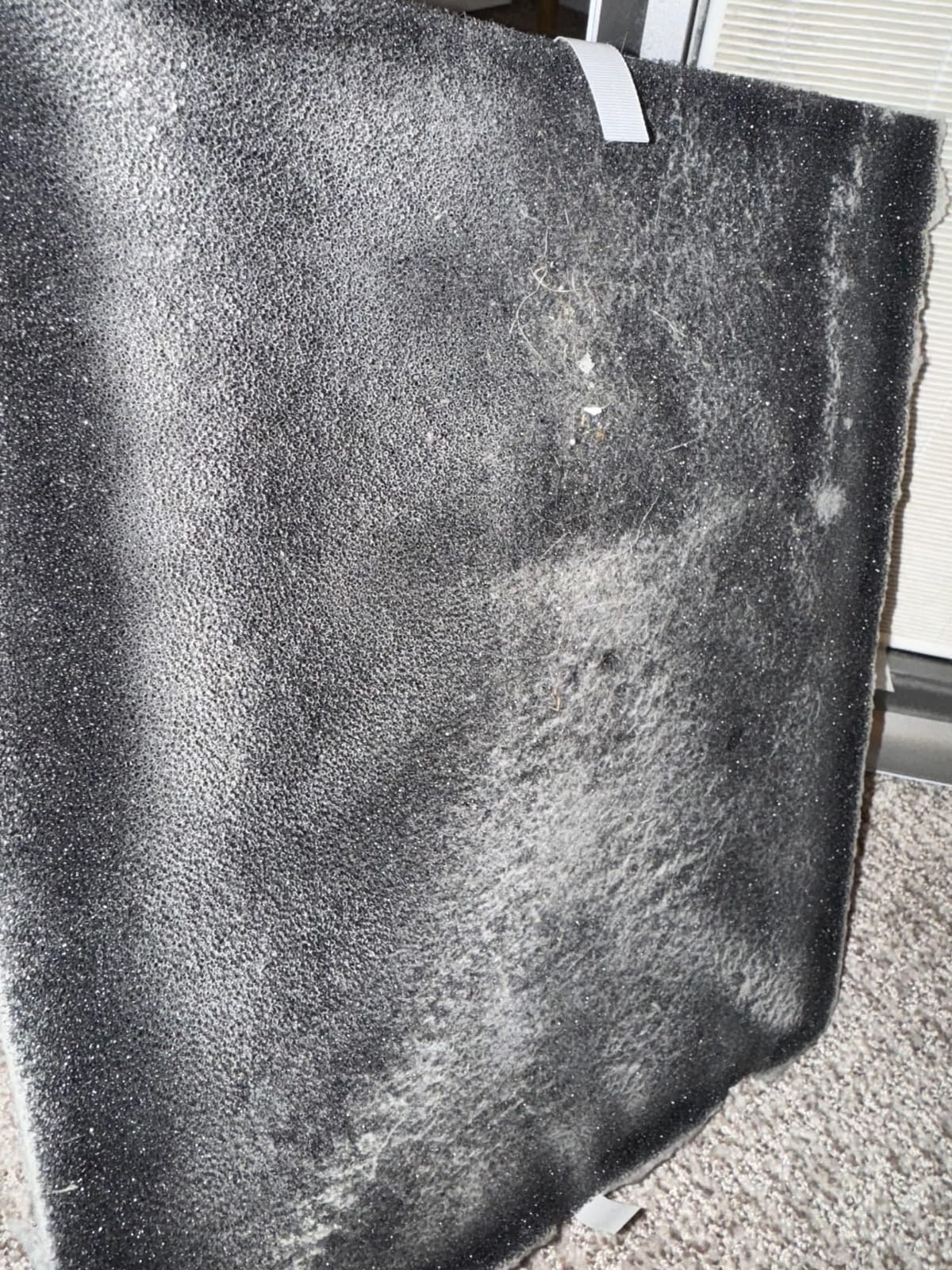 AIRDOCTOR AD3500 Air Purifier customer photo 2