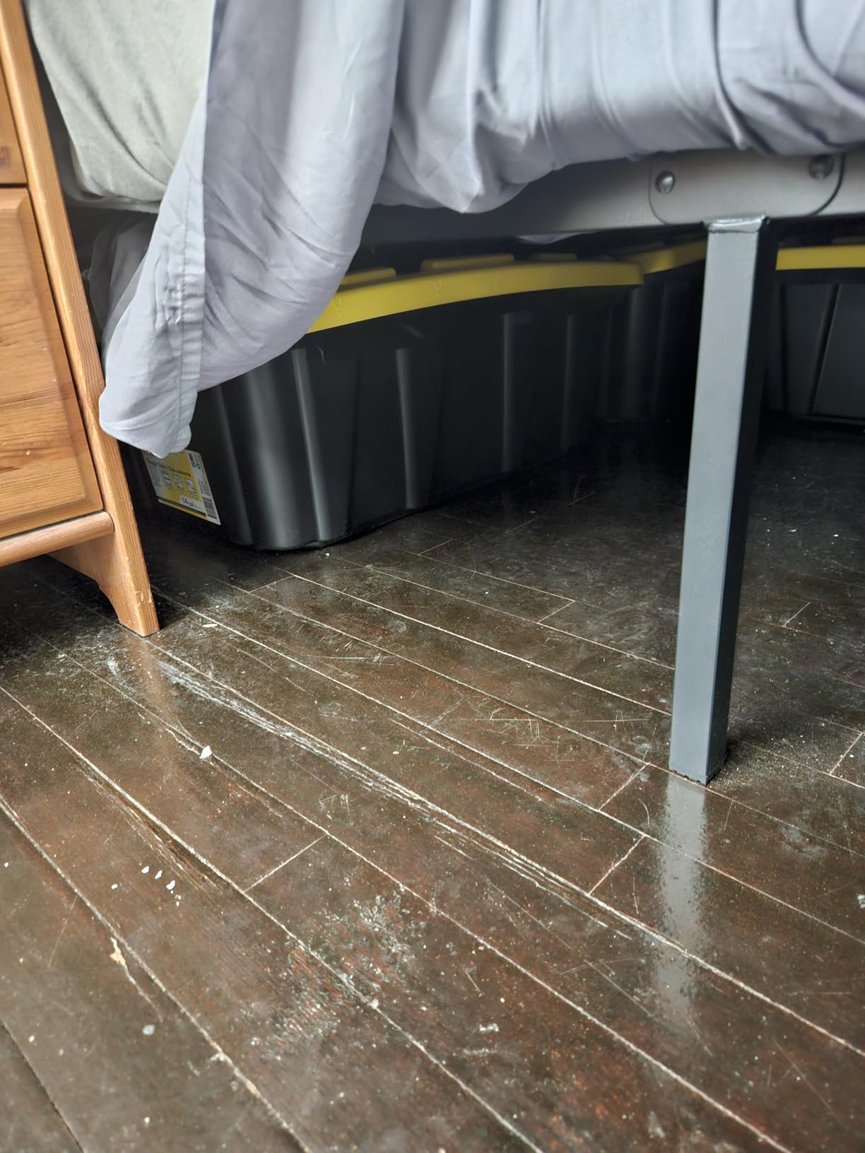 Novilla Queen Bed Frame, 14 Inch Metal Platform Bed Frame Queen Size with Storage Space Under Bed, Heavy Duty Steel Slat Support, Easy Assembly, No Box Spring Needed customer photo 2