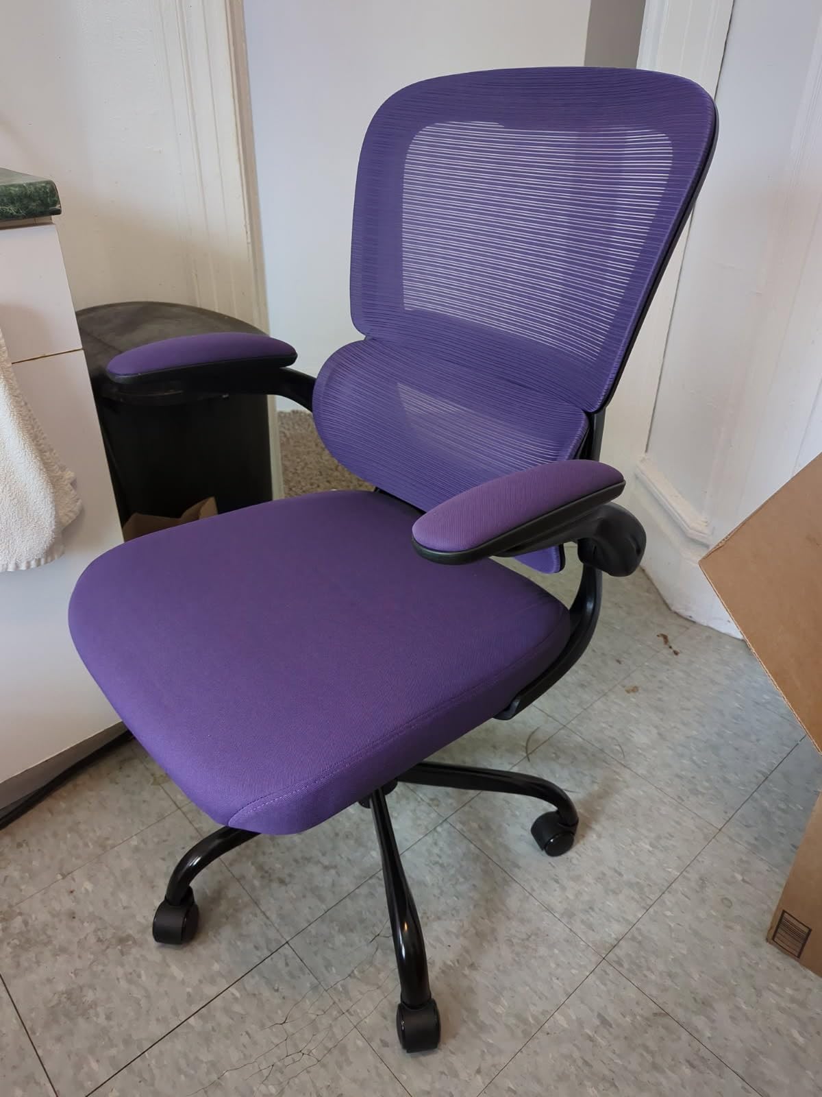 TRALT Office Chair - Ergonomic Desk Chair with Adjustable Lumbar Support, Mesh Computer Chair, Executive Chair for Home Office Comfortable Lumbar Support (1, White) customer photo 1