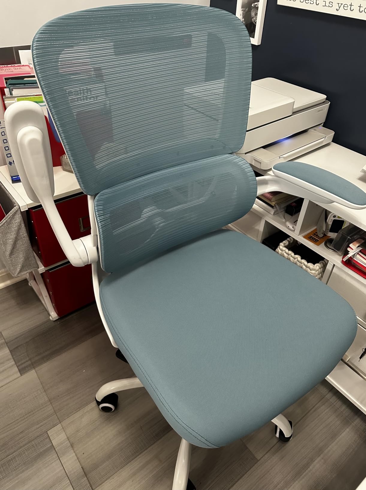 TRALT Office Chair - Ergonomic Desk Chair with Adjustable Lumbar Support, Mesh Computer Chair, Executive Chair for Home Office Comfortable Lumbar Support (1, White) customer photo 2