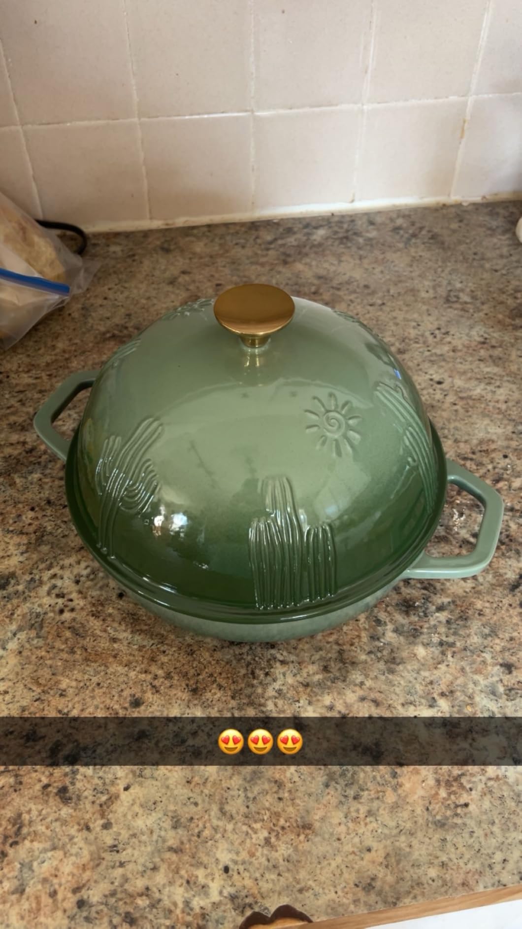 Flavehc Bread Oven Cast Iron Bread Dutch Oven with Cloche Lid for Bread Baking Darkcyan Enameled Cast Iron Bread Oven with Dome Lid for Sourdough, 9.8 Inches customer photo 1
