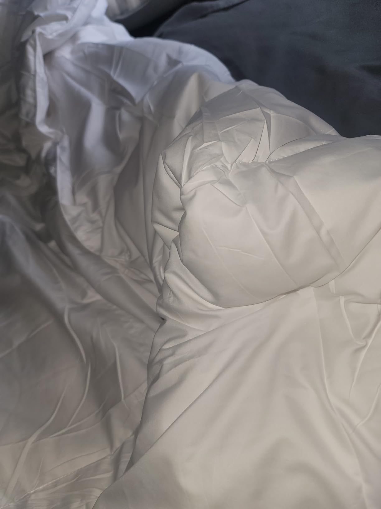 Hotel Grand Goose Down Fiber Comforter Queen Size Extra Warmth Duvet Insert customer photo 1