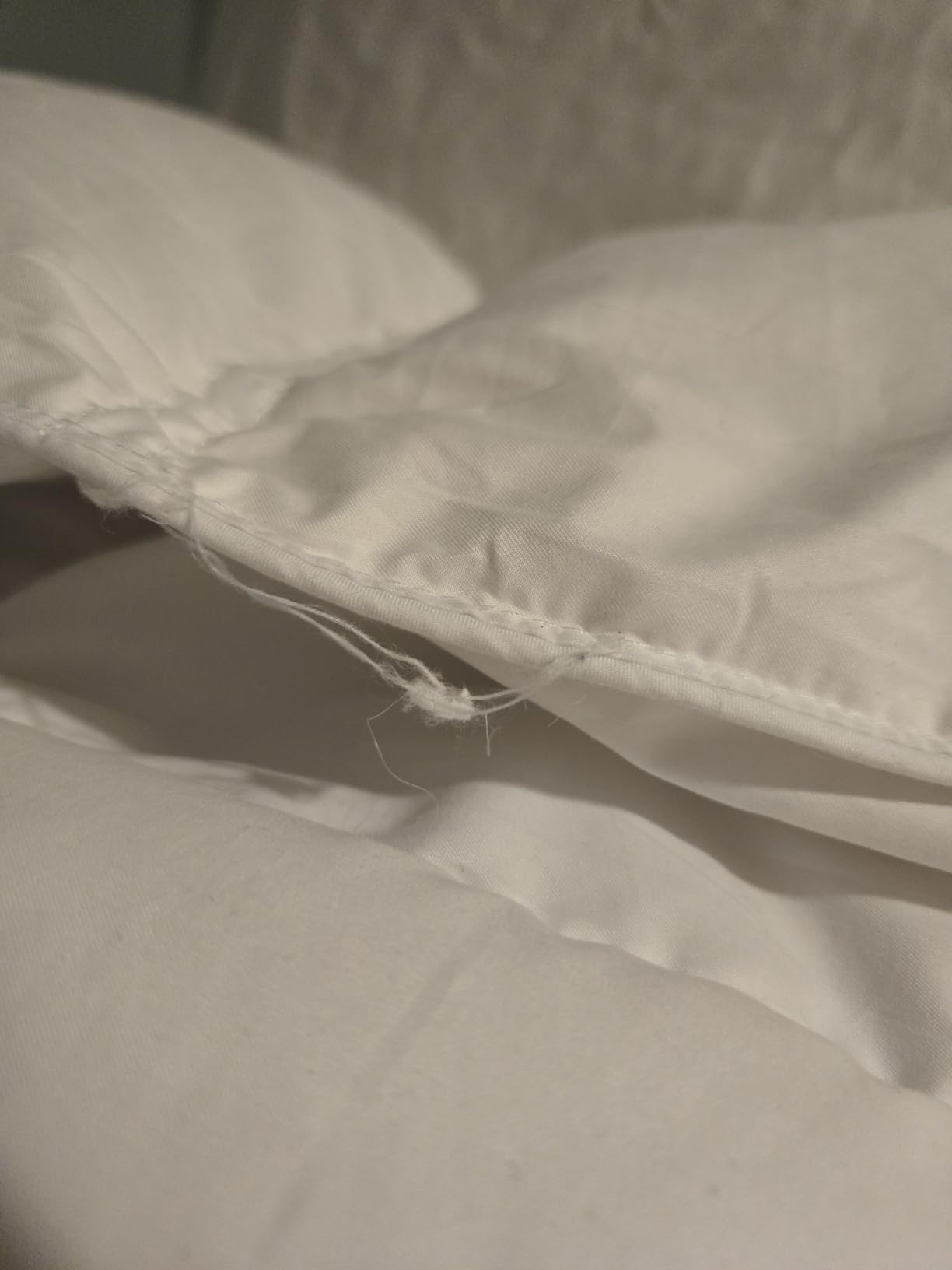 Hotel Grand Goose Down Fiber Comforter Queen Size Extra Warmth Duvet Insert customer photo 2