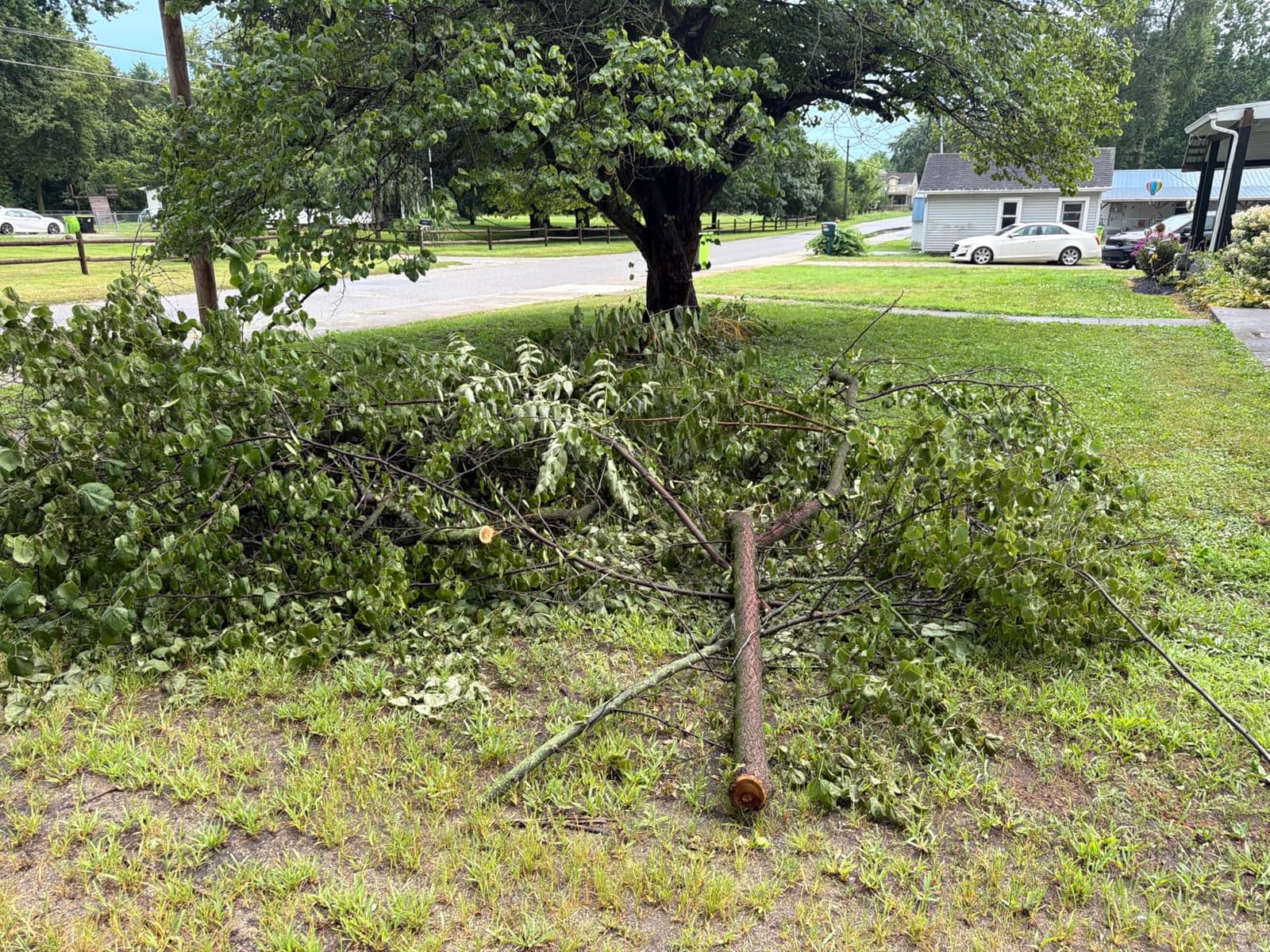 SEESII 2-in-1 Electric Pole Saws for Tree Trimming customer photo 1
